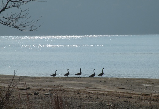 Twin Knobs Beach - 5